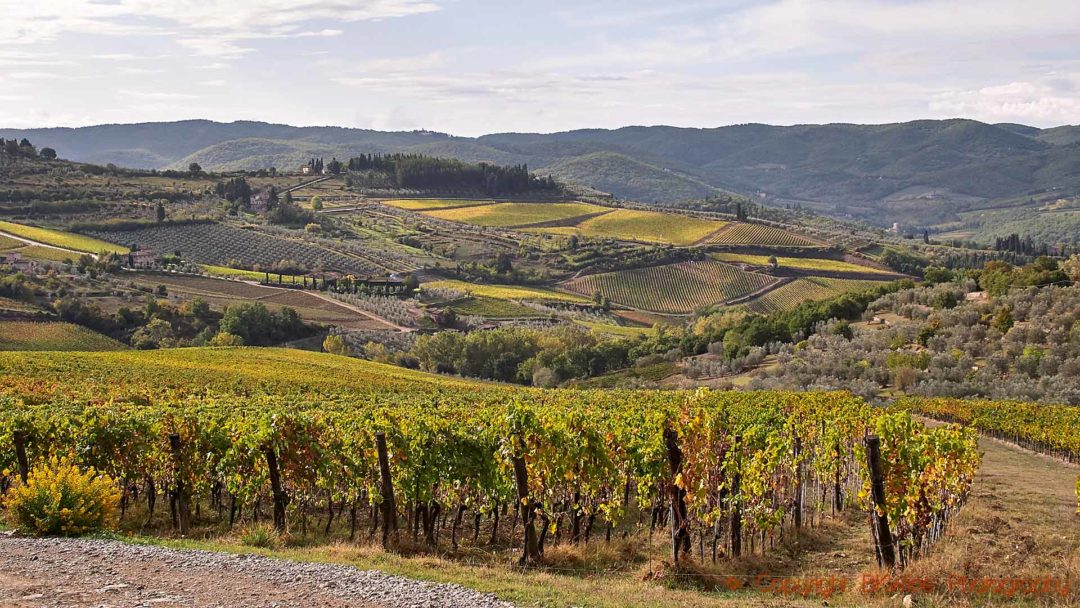 Toscanas böljande landskap med kullar och vingårdar