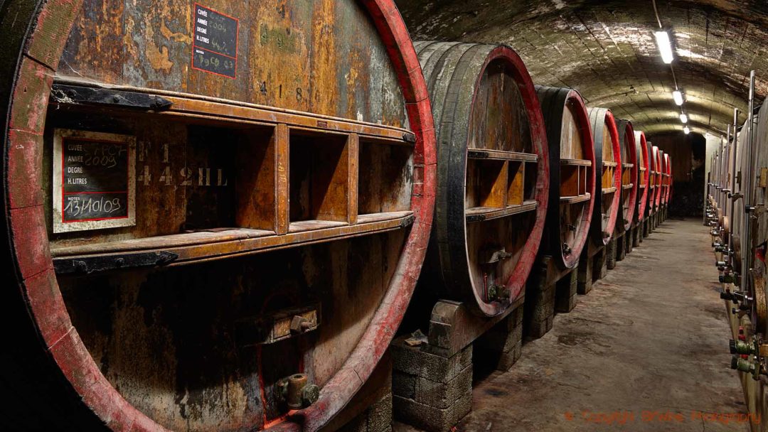 En vinkällare med stora gamla fat i Rhonedalen