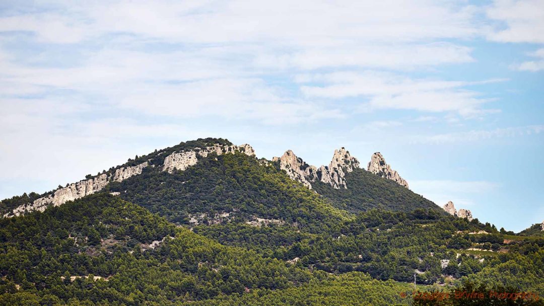 Les Dentelles de Montmirail-bergen i Rhonedalen