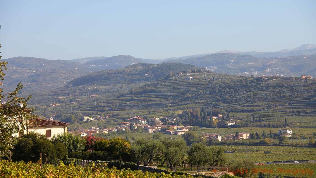 Valpolicellas böljande landskap med vingårdar och berg