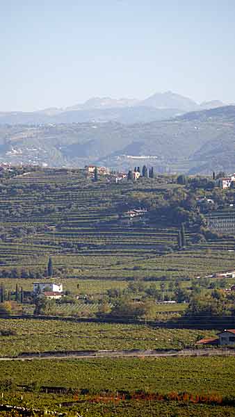 Valpolicellas böljande landskap med vingårdar och berg
