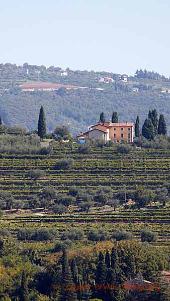 Valpolicellas böljande landskap med vingårdar och en vacker villa