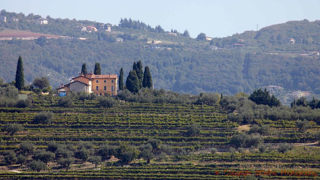 Valpolicellas böljande landskap med vingårdar och en vacker villa
