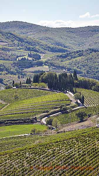 Toscanas böljande landskap med kullar och vingårdar