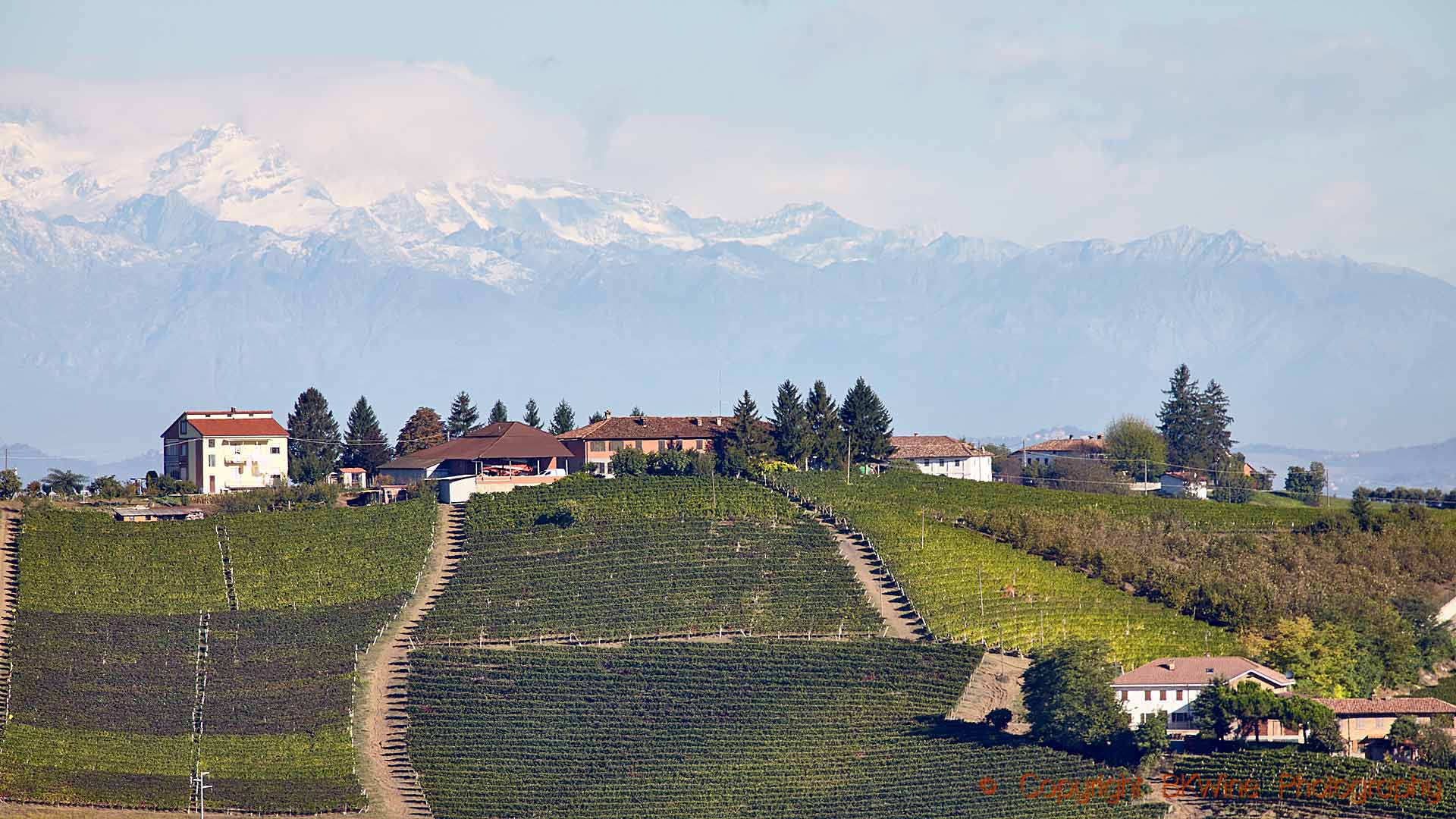 Vingårdar och en liten by med berg i fonden i Piemonte