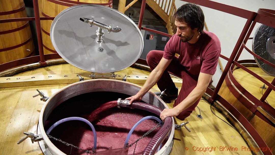 Dags för rundpumpning av musten från ett stort ekfat i en vinkällare i Rioja
