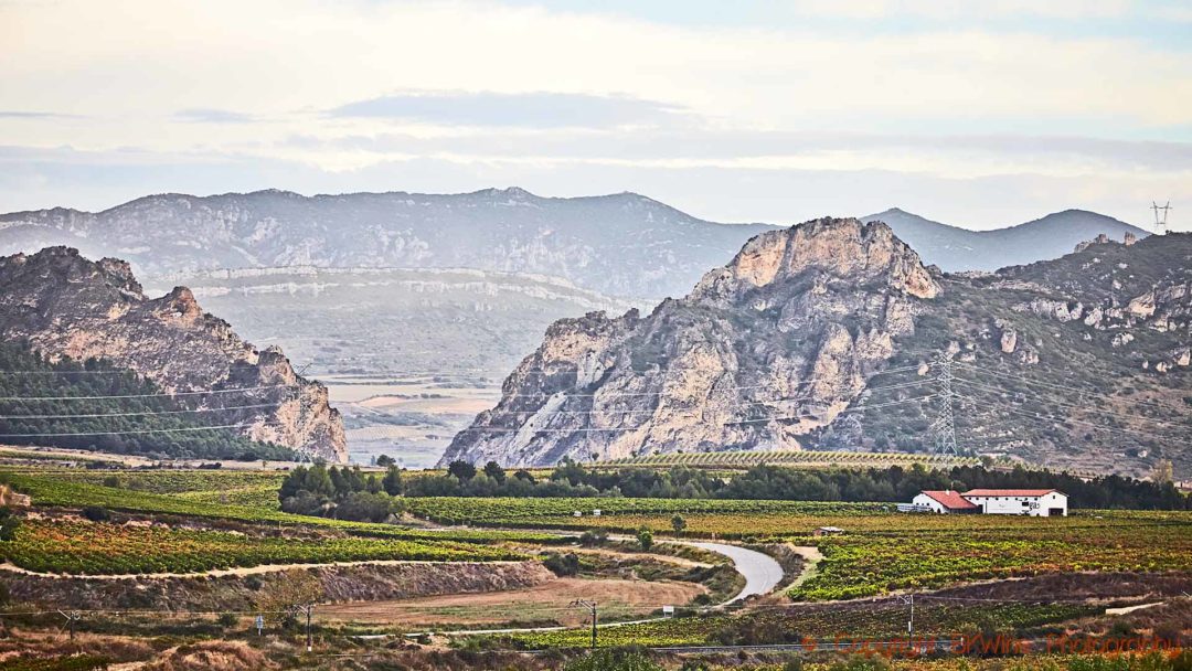 Dramatiskt landskap i Rioja med vingårdar och berg