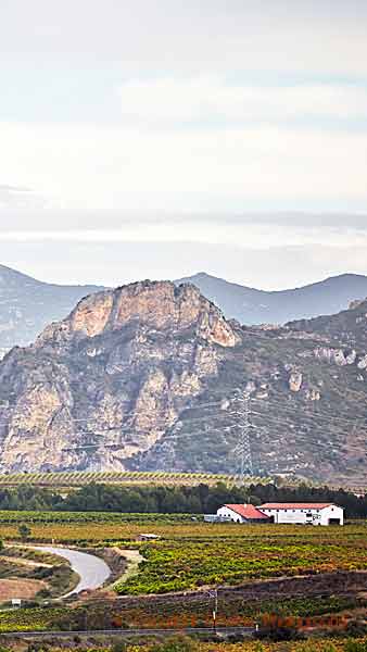 Dramatiskt landskap i Rioja med vingårdar och berg