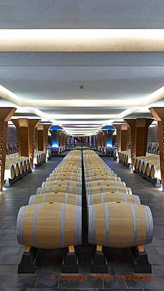 Långa rader ekfat i en modernt designad vinkällare i Rioja