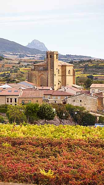En liten by bland vingårdarna i Rioja med kyrkan mitt i byn