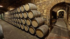 Massor med ekfat i en vinkällare i Rioja