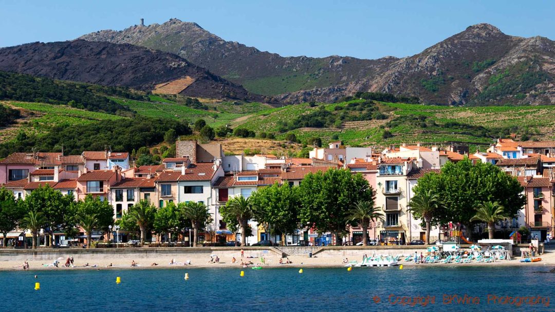 Vingårdar, berg och hav vid Collioure i Roussillon
