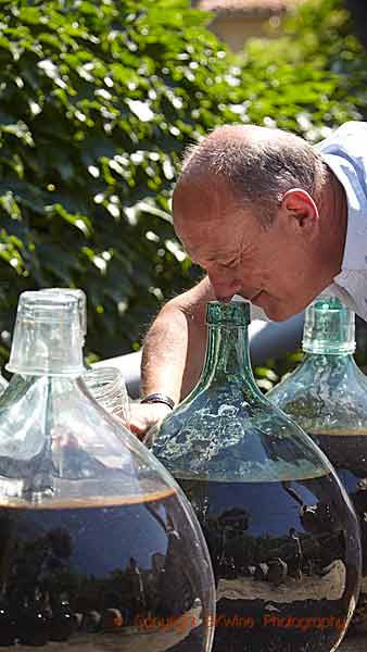 Vin doux naturel (VDN) i damejeanner mognar i solen i Roussillon