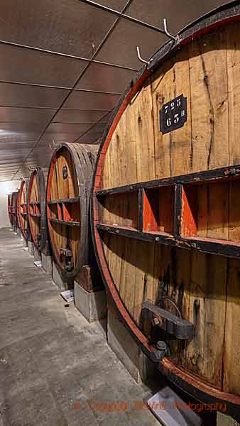 Gamla fat i en vinkällare i Maury i Roussillon