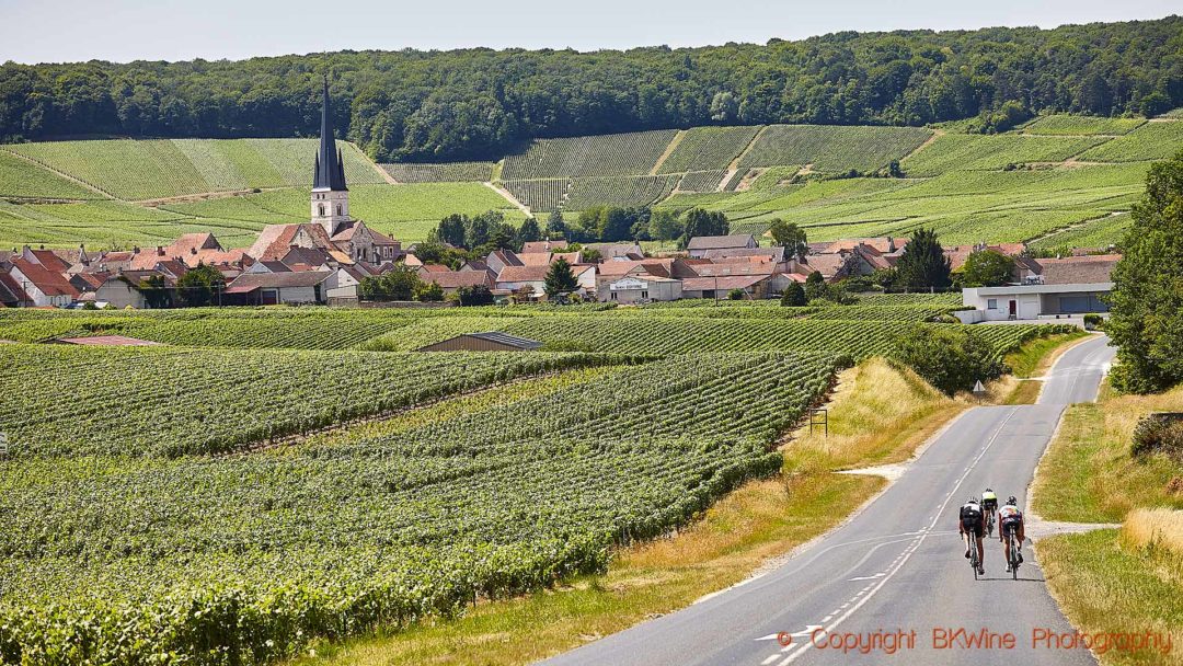 Vingårdar, en by och cyklister i Montagne de Reims, Champagne