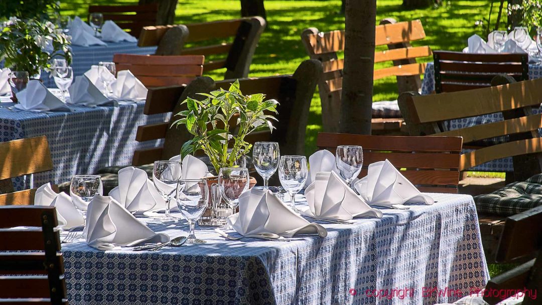 Bordet dukat för lunch med vin hos en vinproducent i Österrike