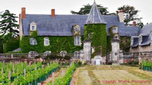Ett vackert litet vinslott med vingårdar i Loiredalen