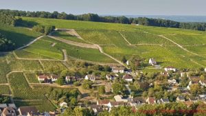 Vingårdar på sluttningarna runt Sancerre vid Loire