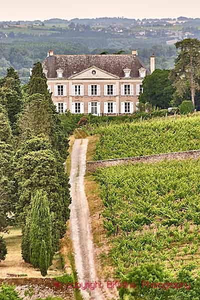 Ett litet vinslott i Loiredalen med en vingård och floden