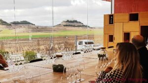 En provning på gång i Ribera del Duero, med utsikt över vingårdarna