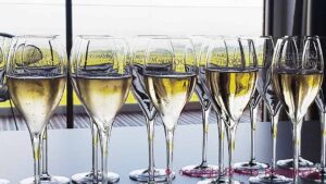 Glas med champagne och en vy ut över vingårdarna