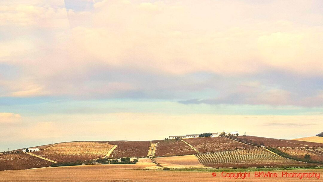 Landskapet i sherrydistriktet runt Jerez de la Frontera i Andalusien