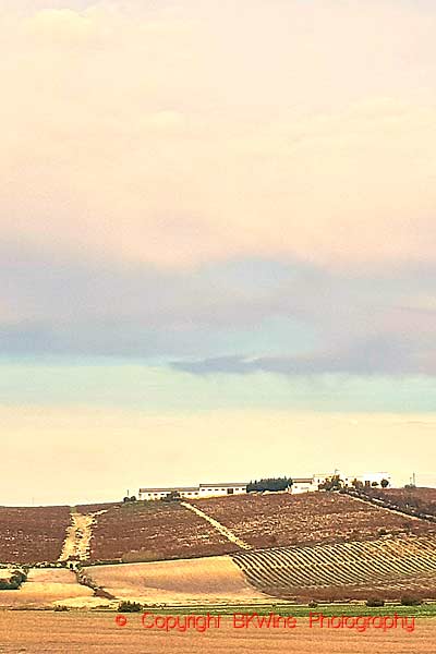 Landskapet i sherrydistriktet runt Jerez de la Frontera i Andalusien