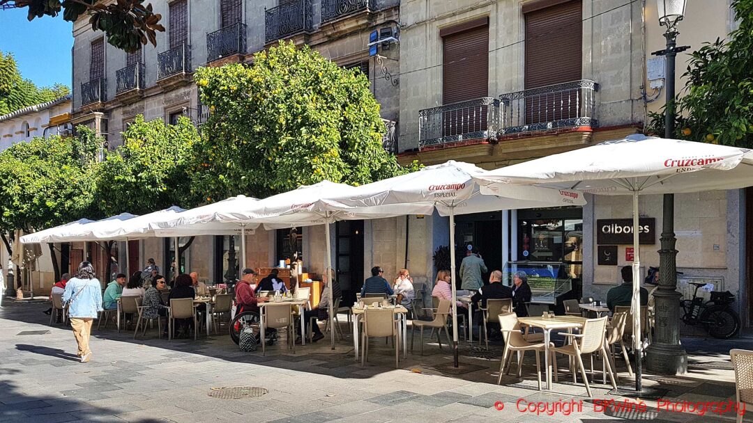 Ett kafé på ett torg i Jerez de la Frontera, Andalusien