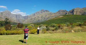 Vingårdarna på Oldenburg Wines i Stellenbosch, Sydafrika