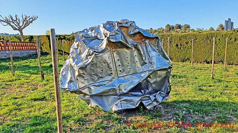 Tanken som krossades av översvämningen vid Celler Rendé Masdéu, Conca de Barbera, Katalonien