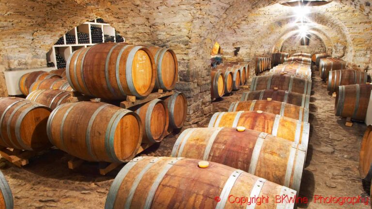 En gammal vinkällare med ekfat hos en vinproducent i Languedoc