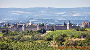 Medeltidsstaden Carcassonne är omgiven av en mur och av vinrankor i Languedoc