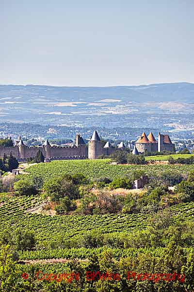 Medeltidsstaden Carcassonne är omgiven av en mur och av vinrankor i Languedoc